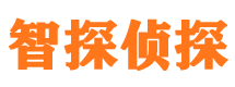 眉县智探私家侦探公司